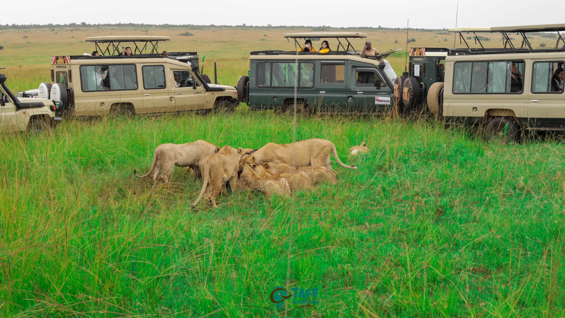 Elephants crossing the Kenyan savannah on safari