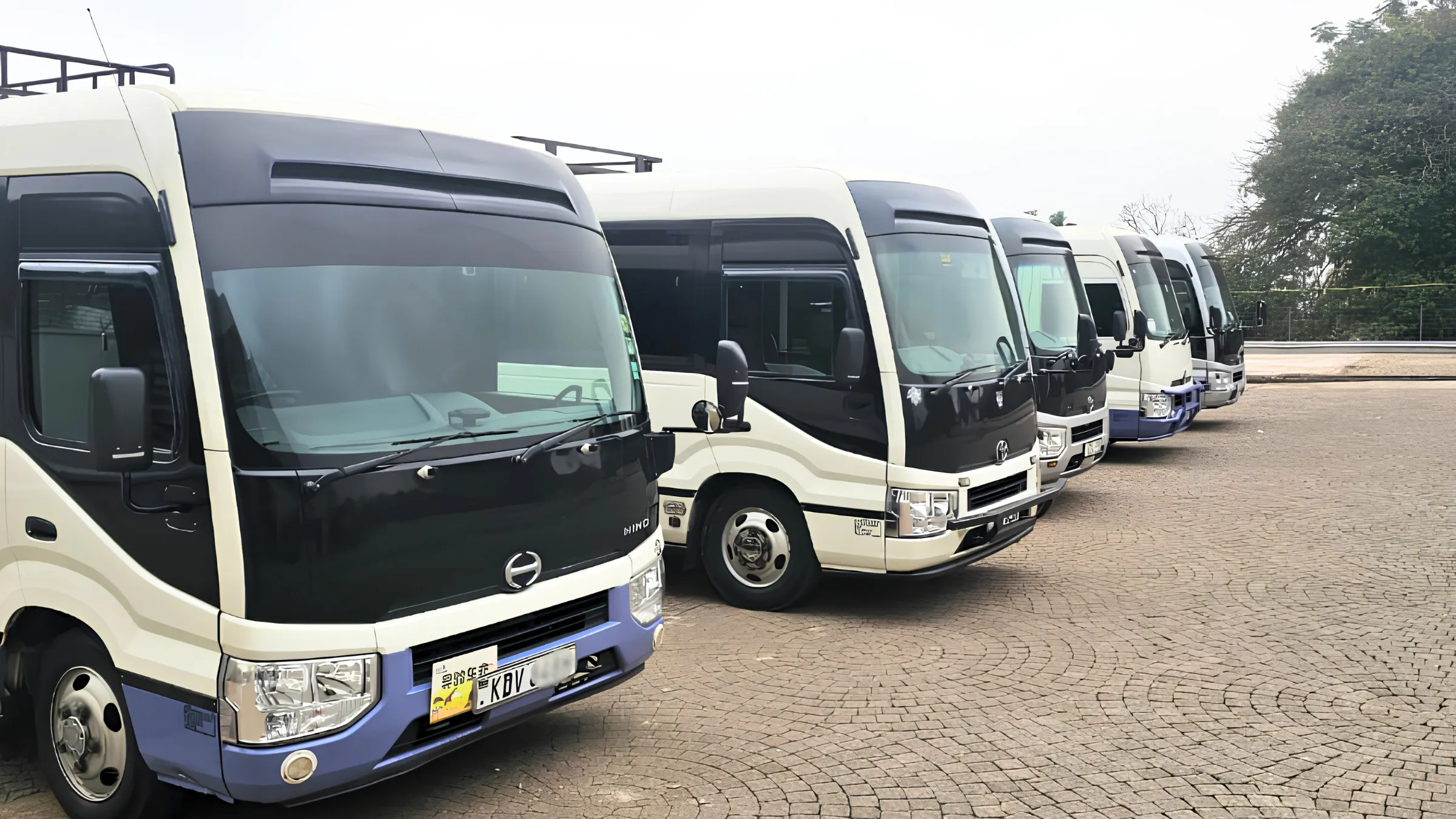 TAFF Adventures fleet of Toyota Coaster buses for group and corporate transport
